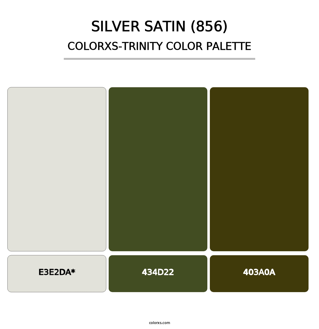 Silver Satin (856) - Colorxs Trinity Palette