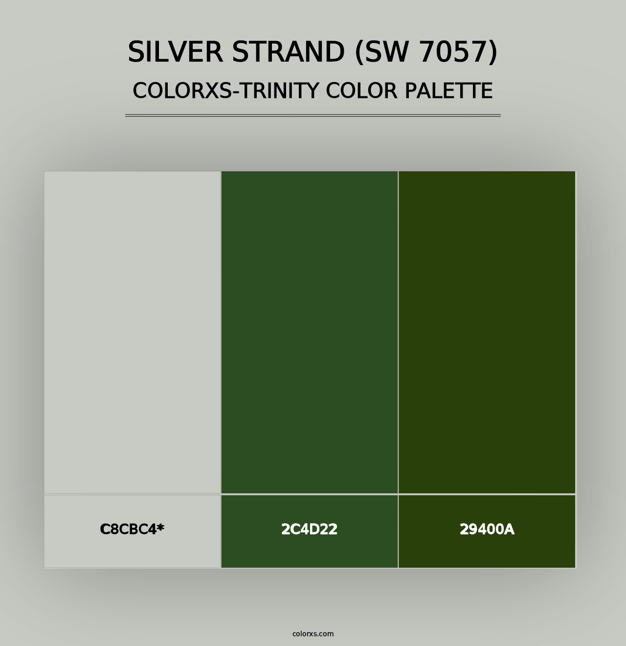 Silver Strand (SW 7057) - Colorxs Trinity Palette