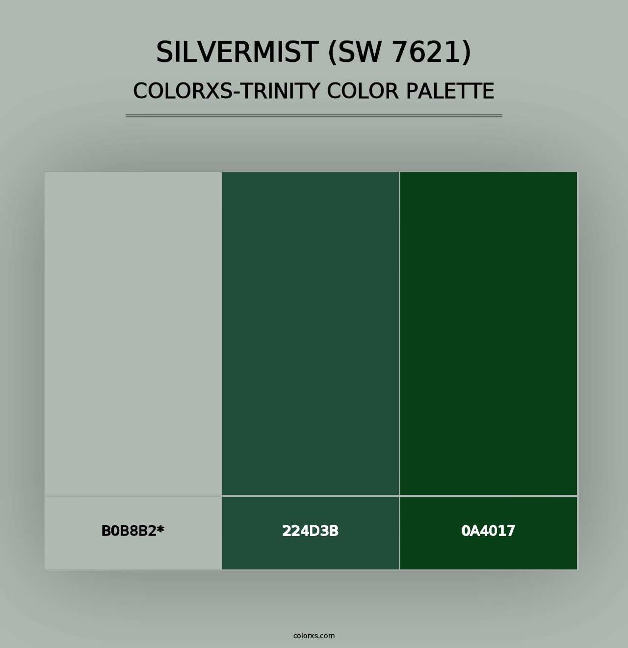 Silvermist (SW 7621) - Colorxs Trinity Palette