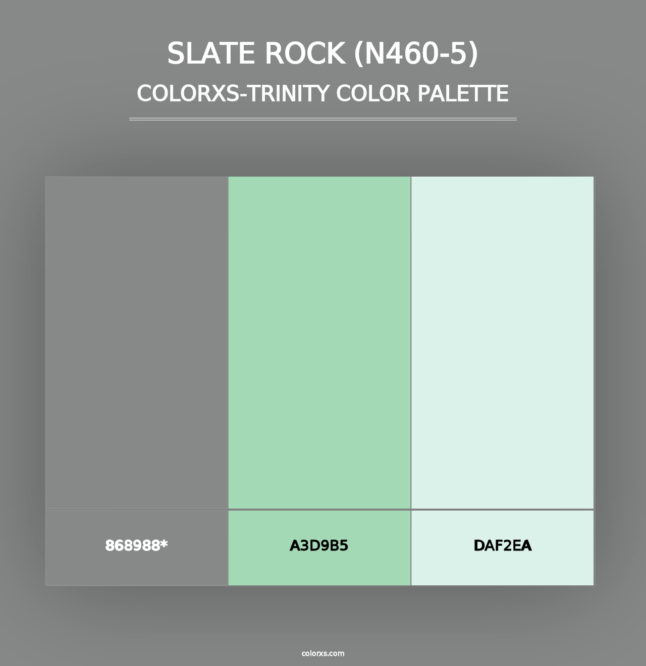 Slate Rock (N460-5) - Colorxs Trinity Palette