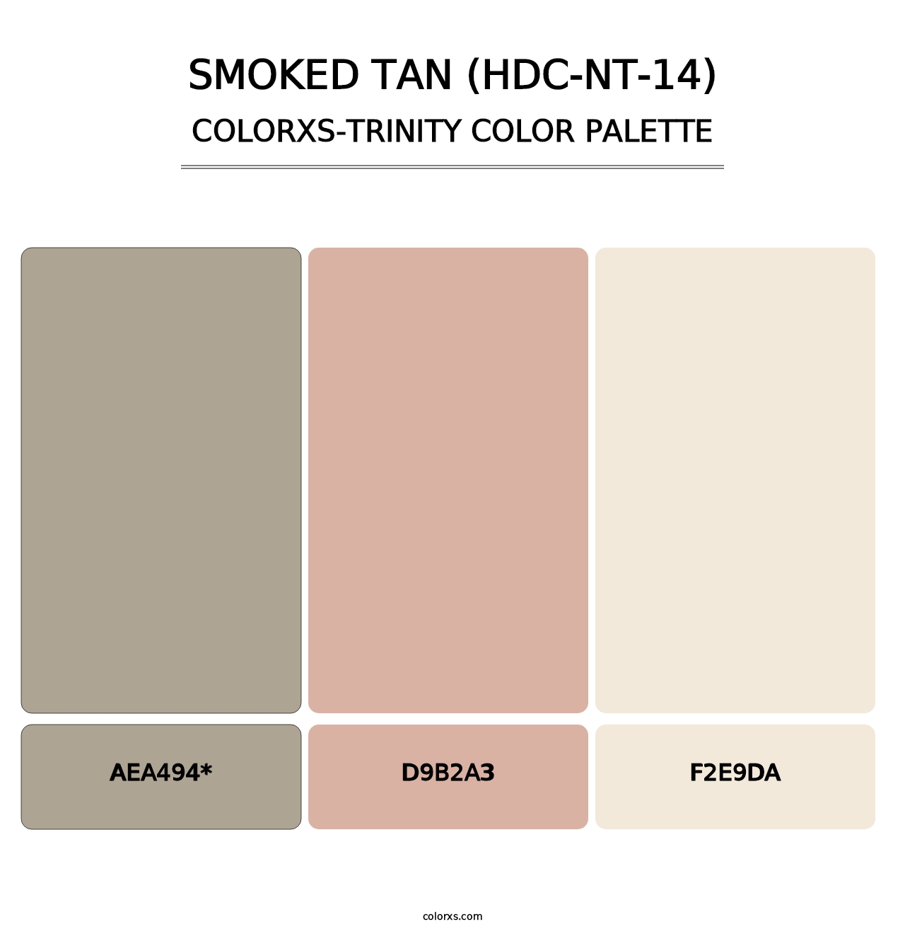 Smoked Tan (HDC-NT-14) - Colorxs Trinity Palette