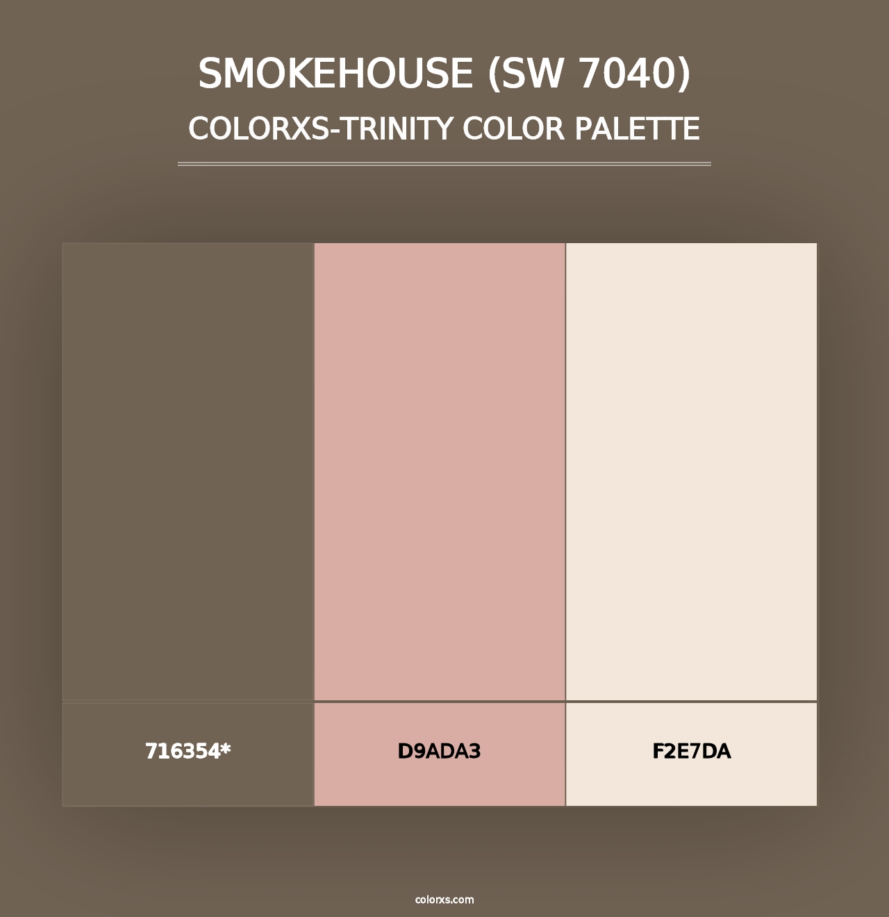 Smokehouse (SW 7040) - Colorxs Trinity Palette