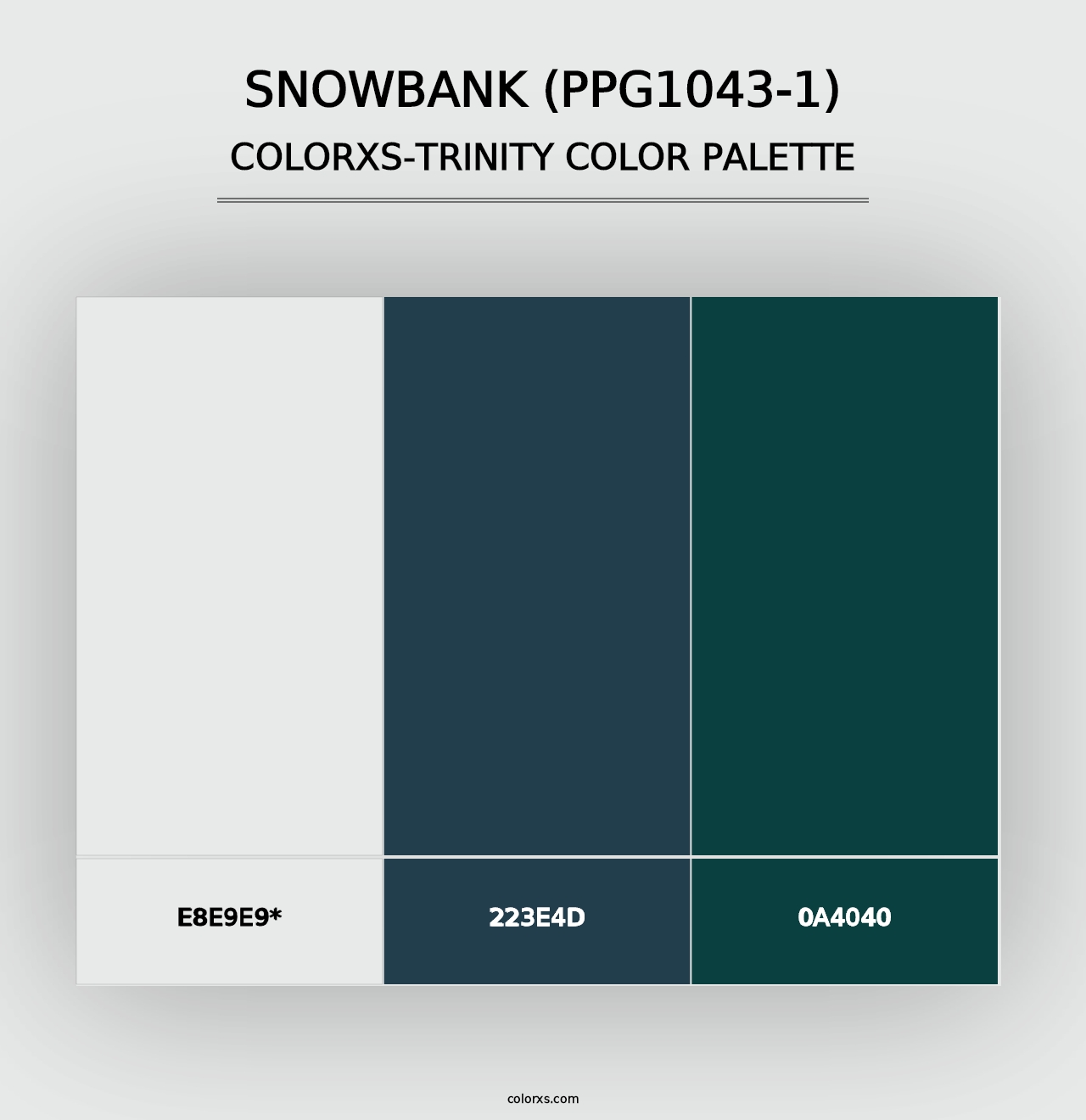 Snowbank (PPG1043-1) - Colorxs Trinity Palette