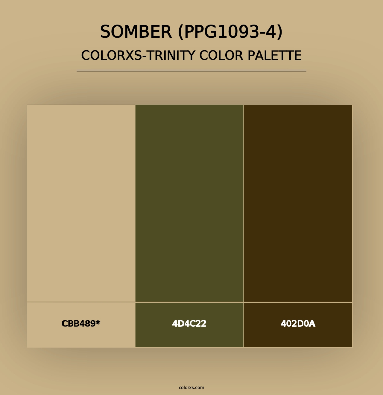 Somber (PPG1093-4) - Colorxs Trinity Palette