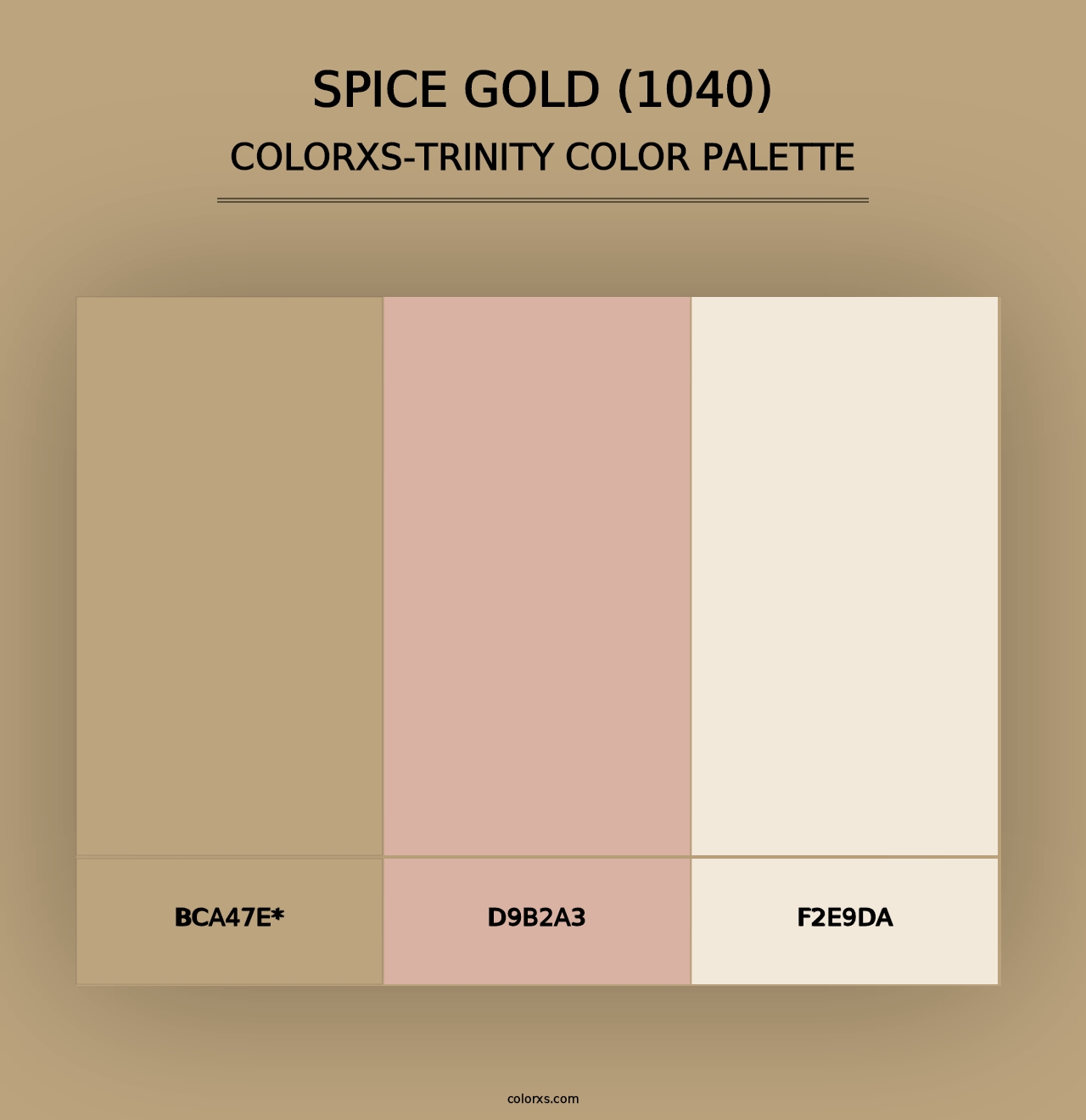 Spice Gold (1040) - Colorxs Trinity Palette