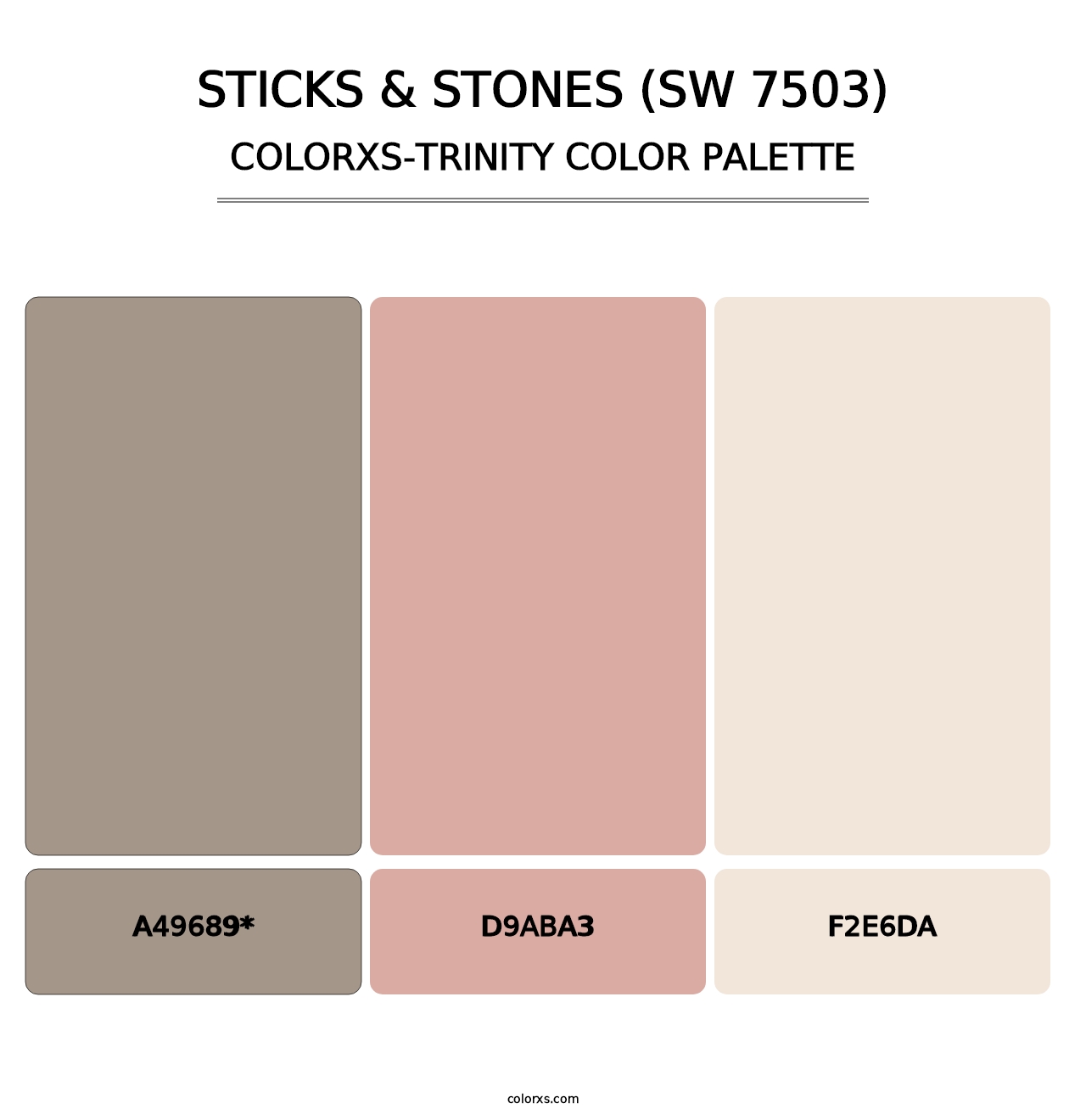 Sticks & Stones (SW 7503) - Colorxs Trinity Palette