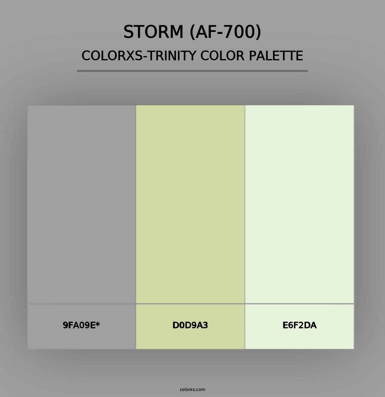 Storm (AF-700) - Colorxs Trinity Palette