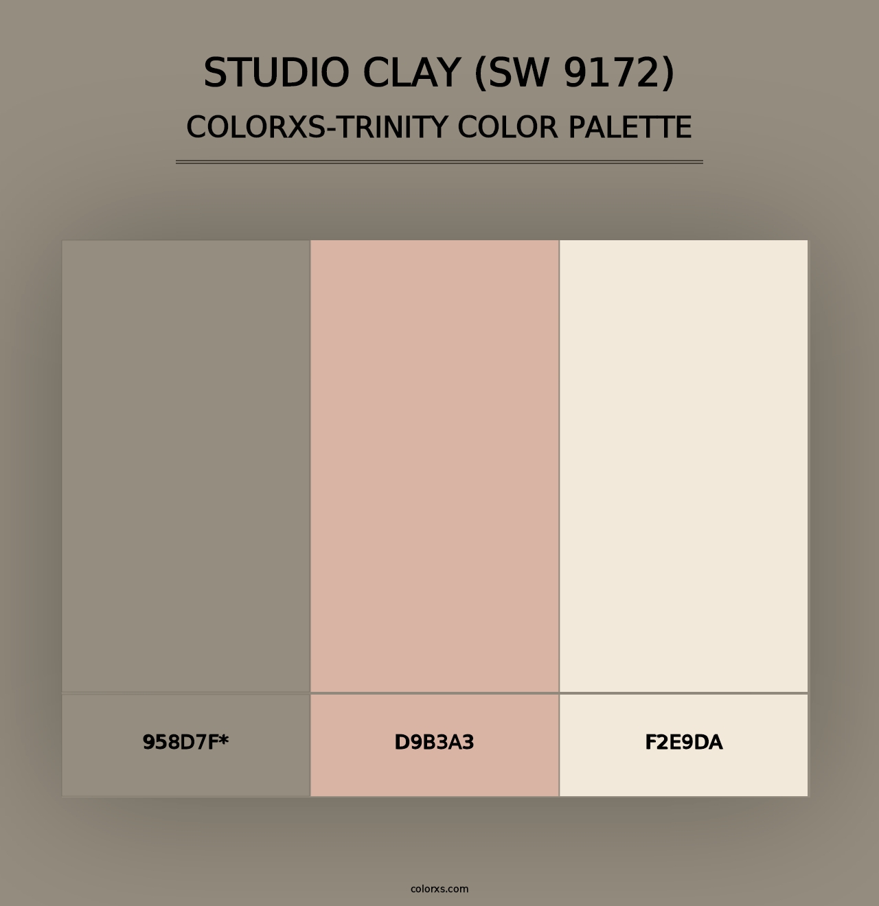 Studio Clay (SW 9172) - Colorxs Trinity Palette