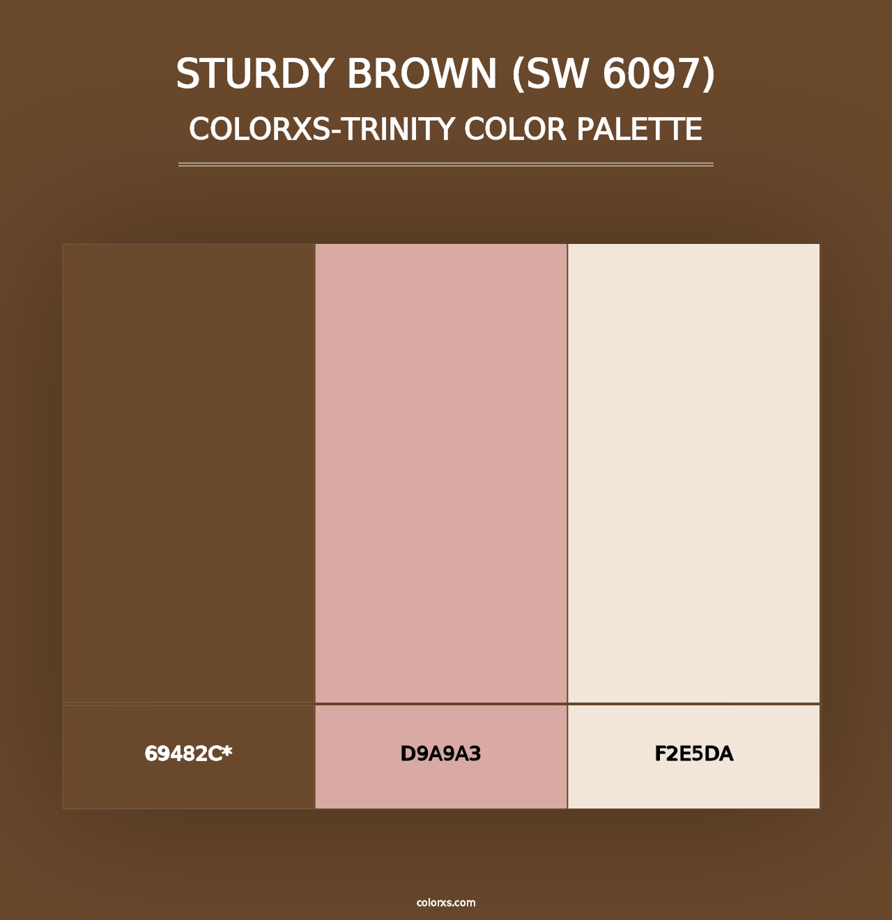 Sturdy Brown (SW 6097) - Colorxs Trinity Palette