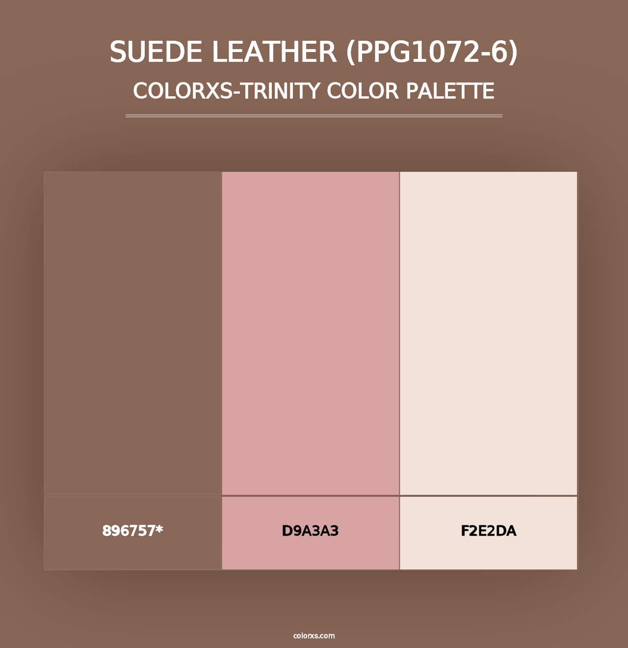 Suede Leather (PPG1072-6) - Colorxs Trinity Palette