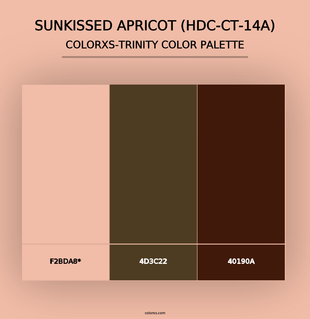 Sunkissed Apricot (HDC-CT-14A) - Colorxs Trinity Palette