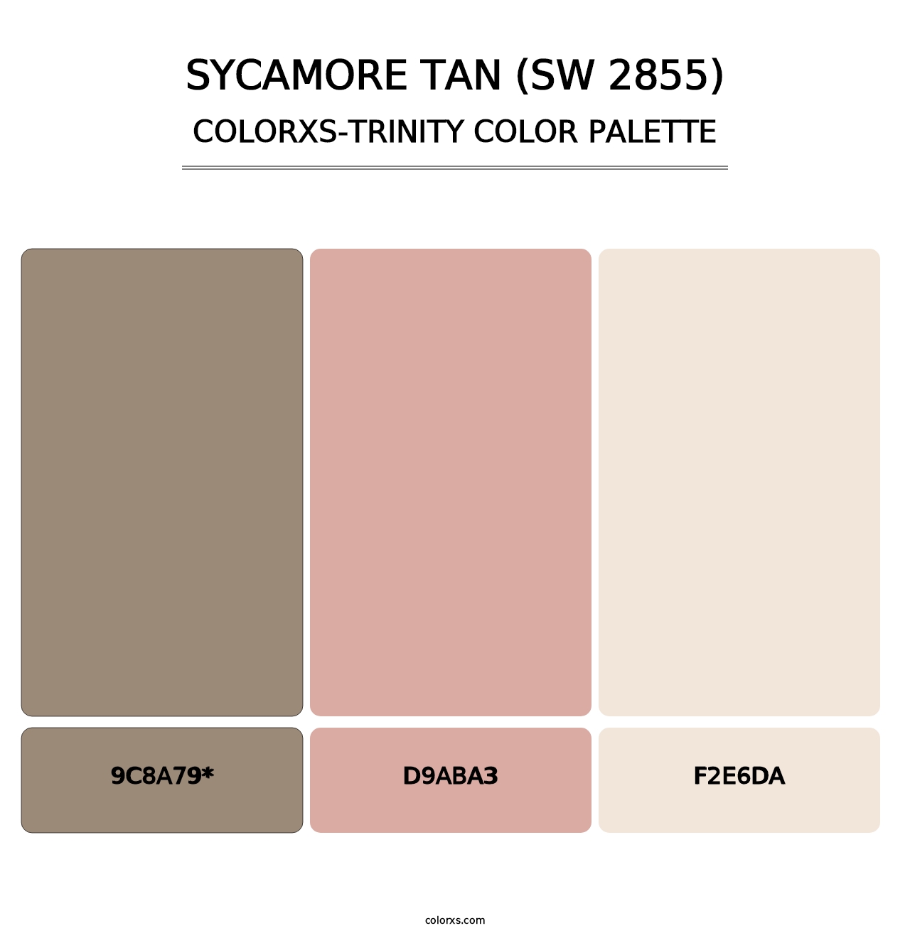 Sycamore Tan (SW 2855) - Colorxs Trinity Palette