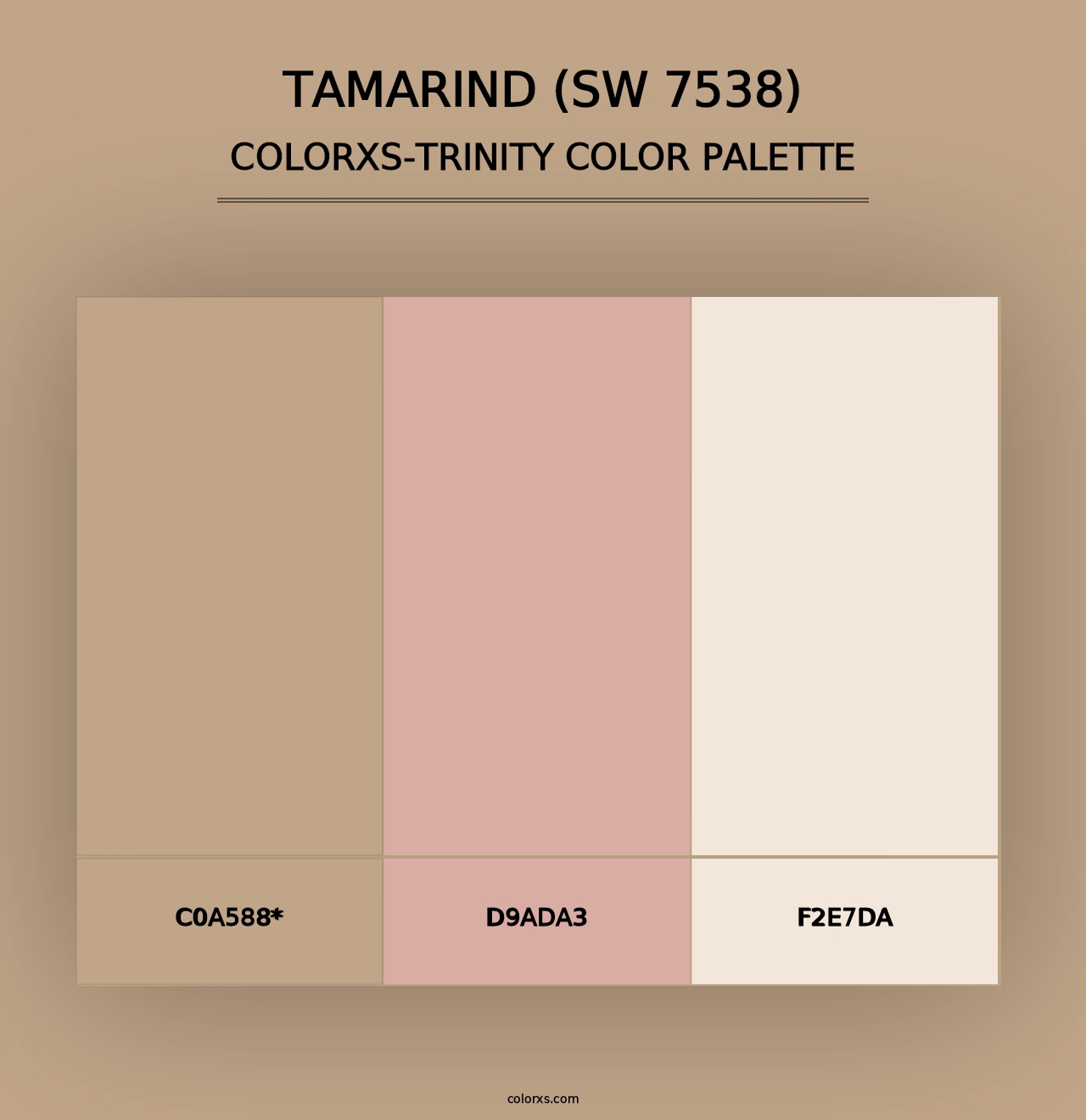 Tamarind (SW 7538) - Colorxs Trinity Palette