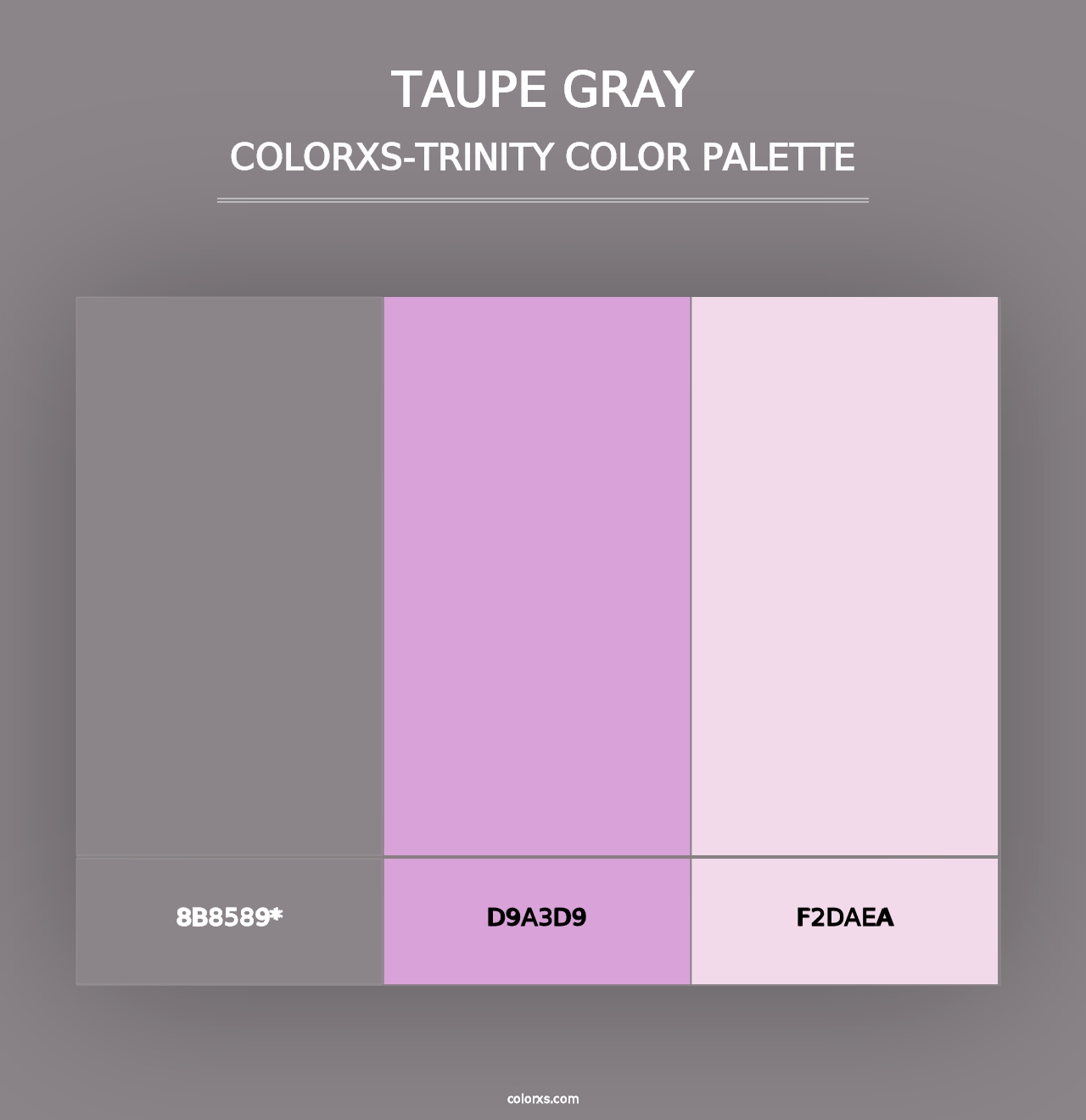 Taupe Gray - Colorxs Trinity Palette