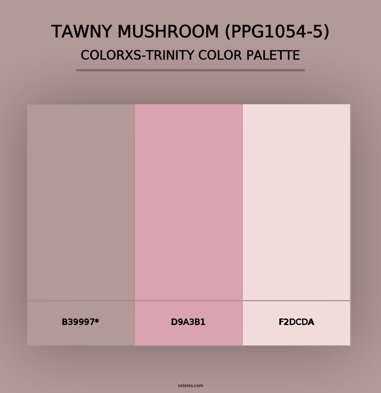 Tawny Mushroom (PPG1054-5) - Colorxs Trinity Palette