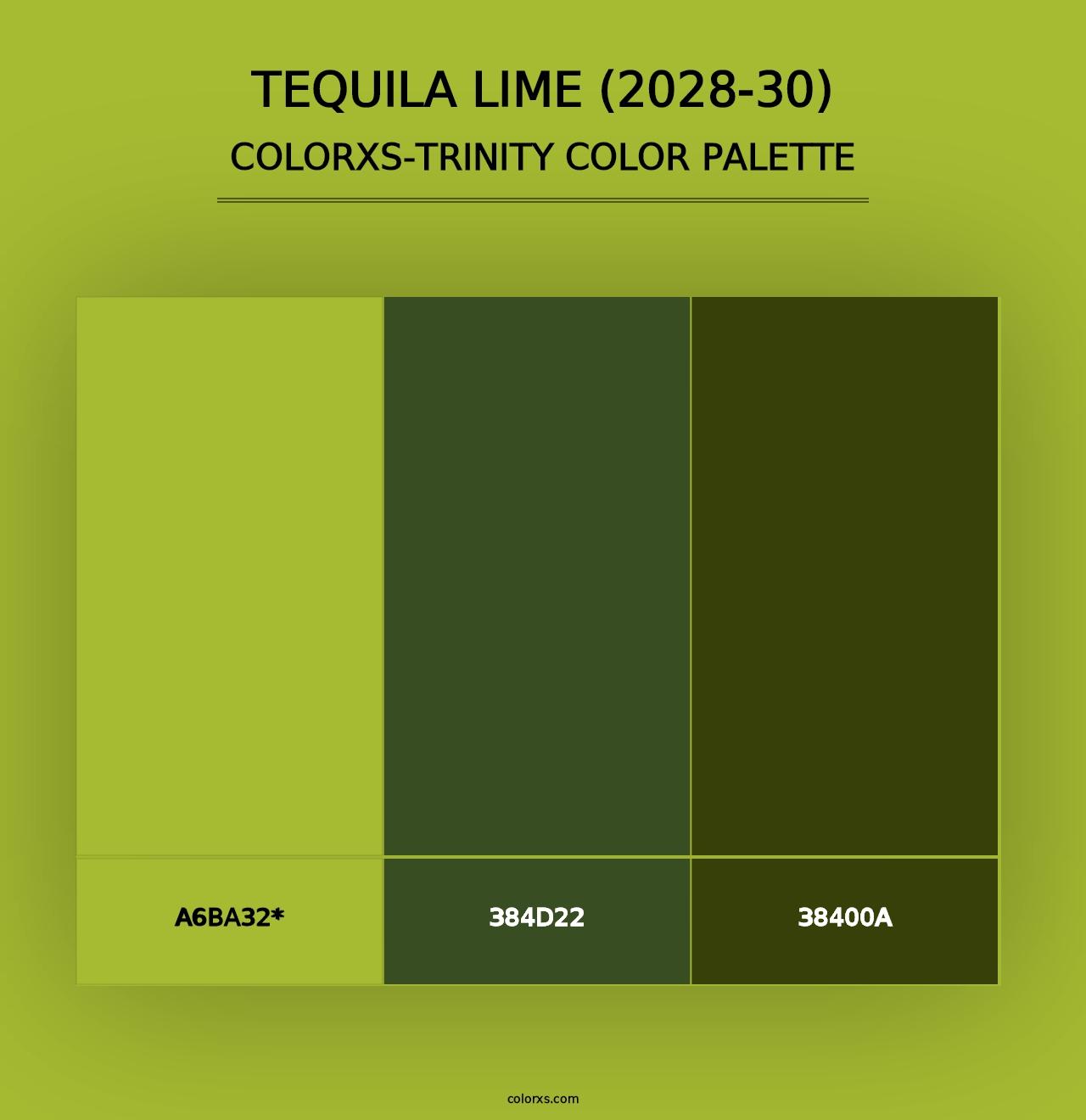 Tequila Lime (2028-30) - Colorxs Trinity Palette