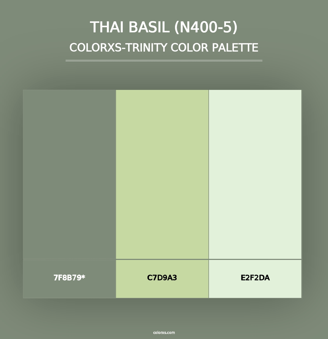 Thai Basil (N400-5) - Colorxs Trinity Palette