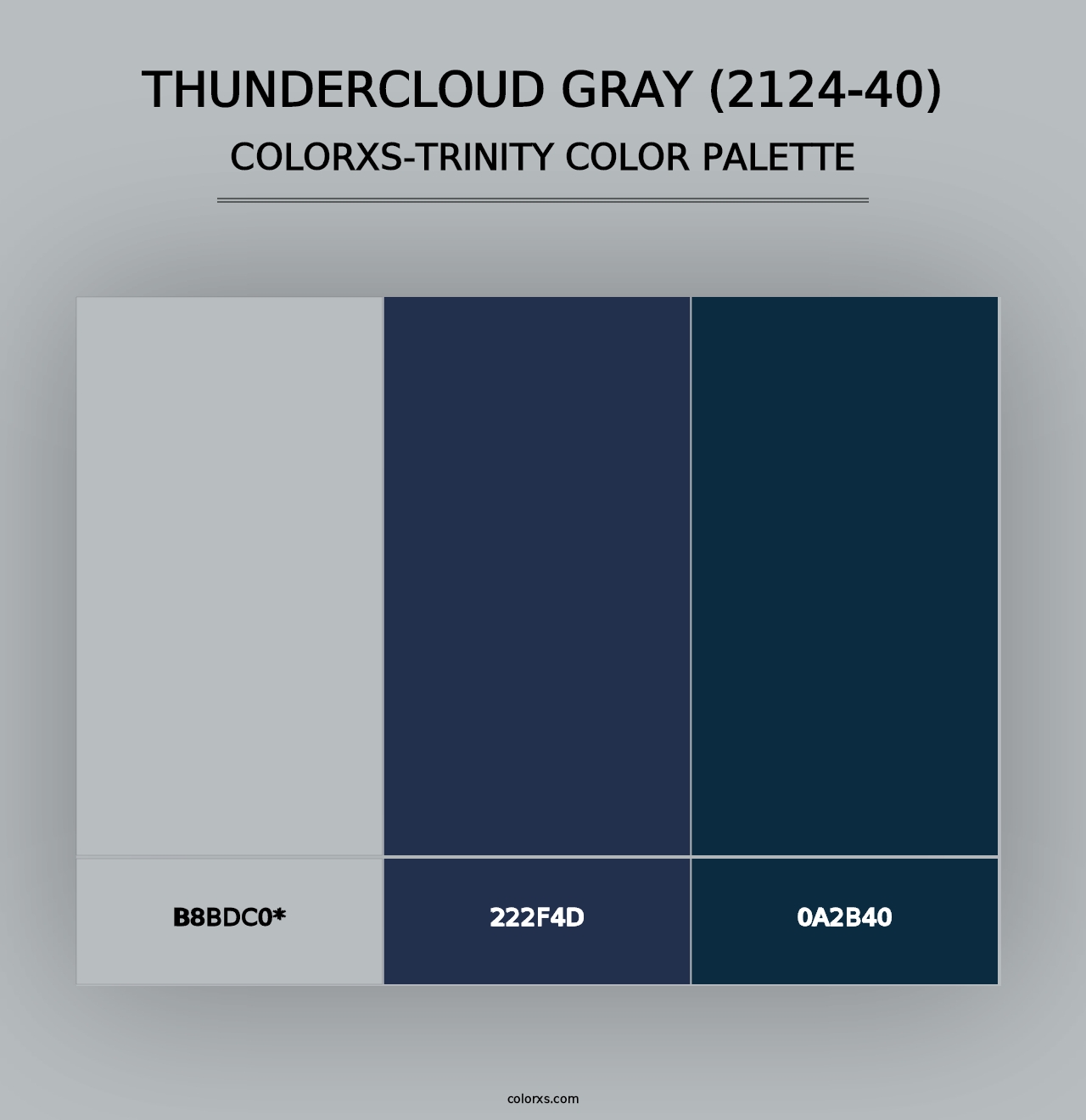 Thundercloud Gray (2124-40) - Colorxs Trinity Palette