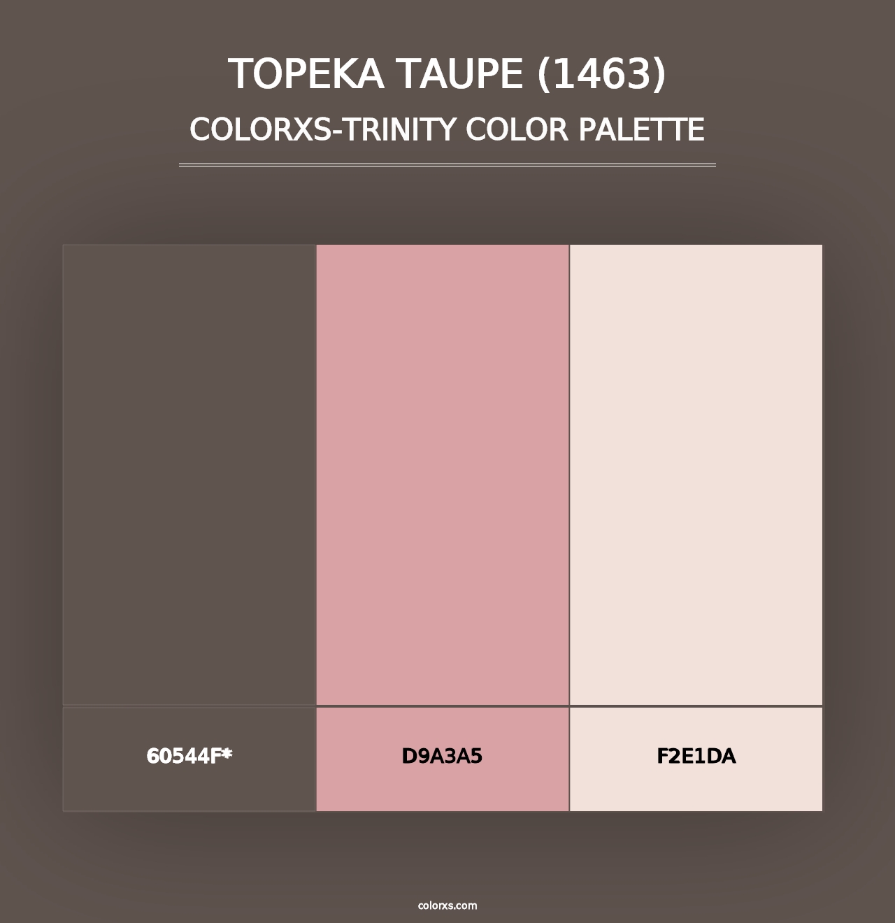 Topeka Taupe (1463) - Colorxs Trinity Palette