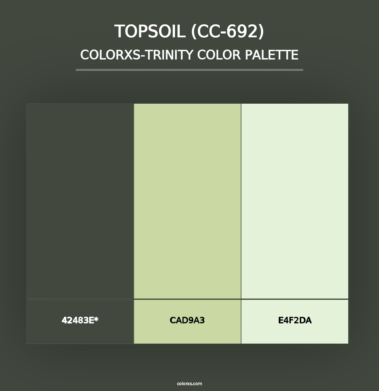 Topsoil (CC-692) - Colorxs Trinity Palette