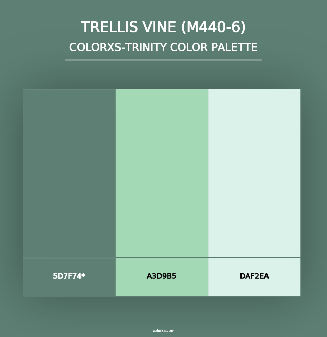 Trellis Vine (M440-6) - Colorxs Trinity Palette