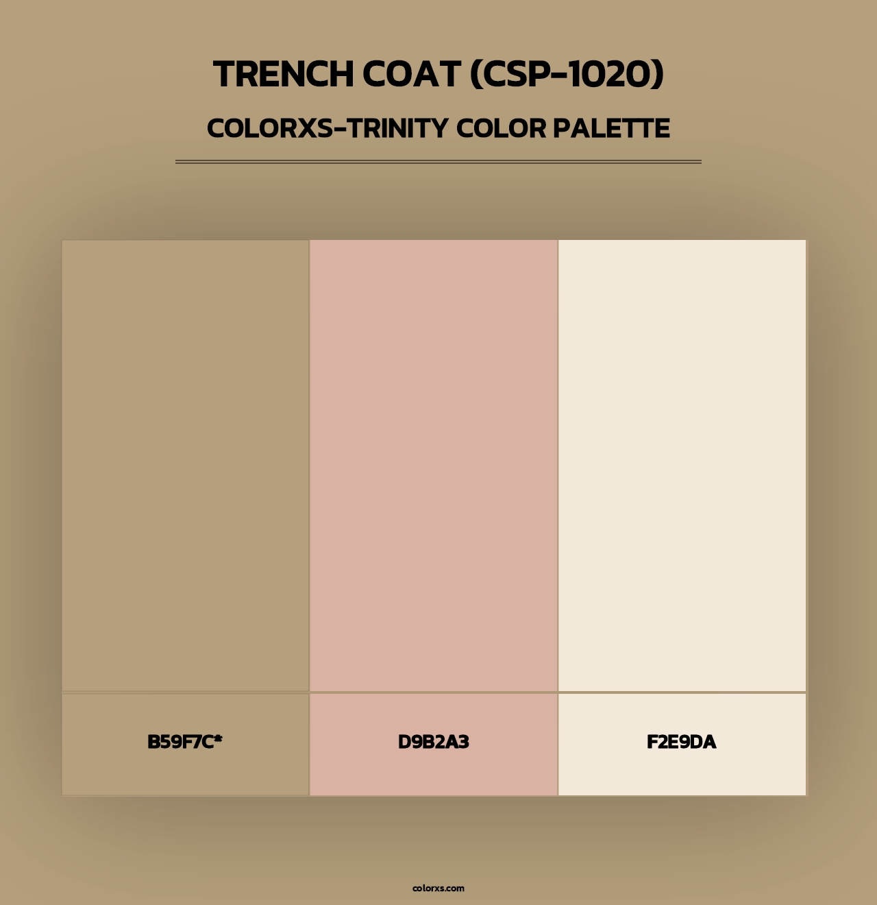 Trench Coat (CSP-1020) - Colorxs Trinity Palette