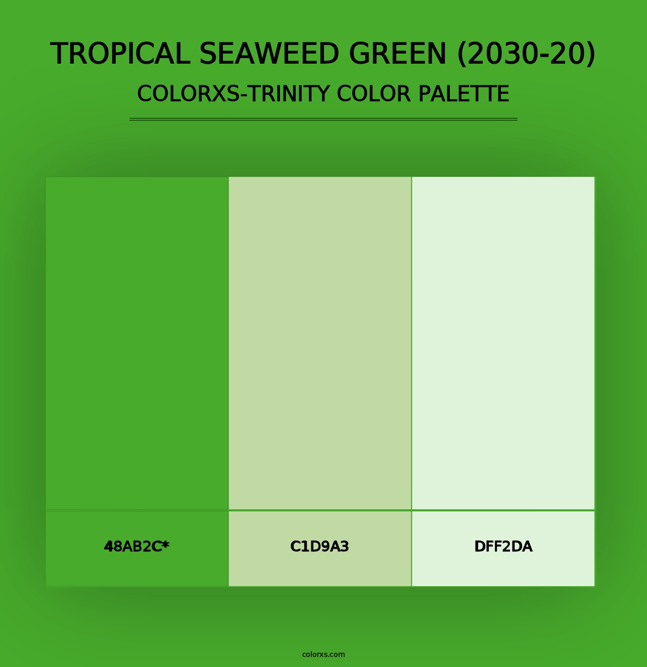 Tropical Seaweed Green (2030-20) - Colorxs Trinity Palette