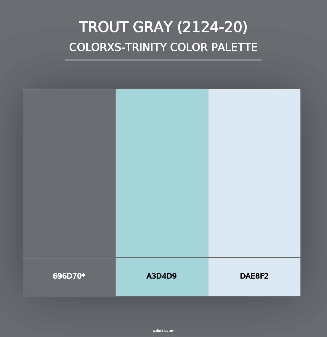 Trout Gray (2124-20) - Colorxs Trinity Palette