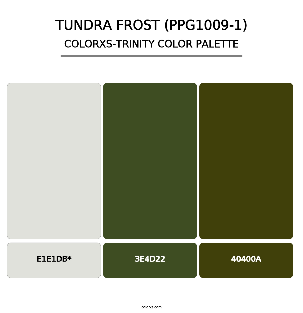 Tundra Frost (PPG1009-1) - Colorxs Trinity Palette