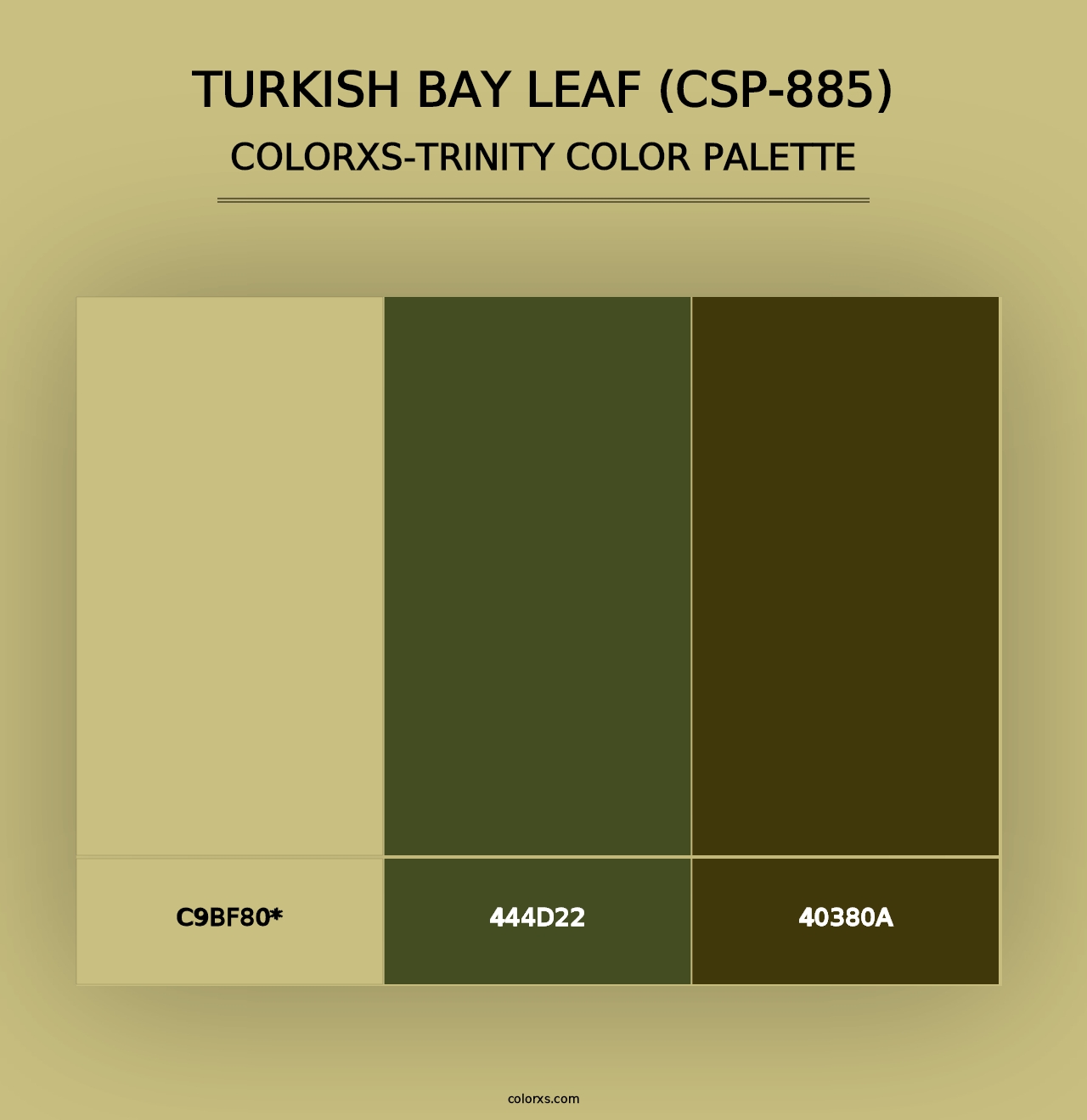 Turkish Bay Leaf (CSP-885) - Colorxs Trinity Palette