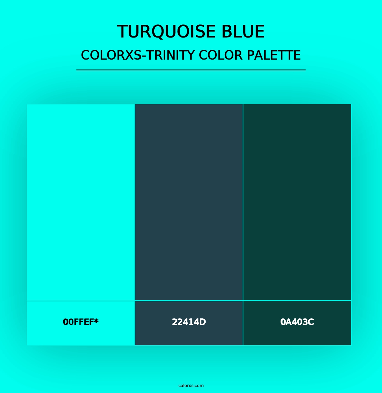 Turquoise Blue - Colorxs Trinity Palette