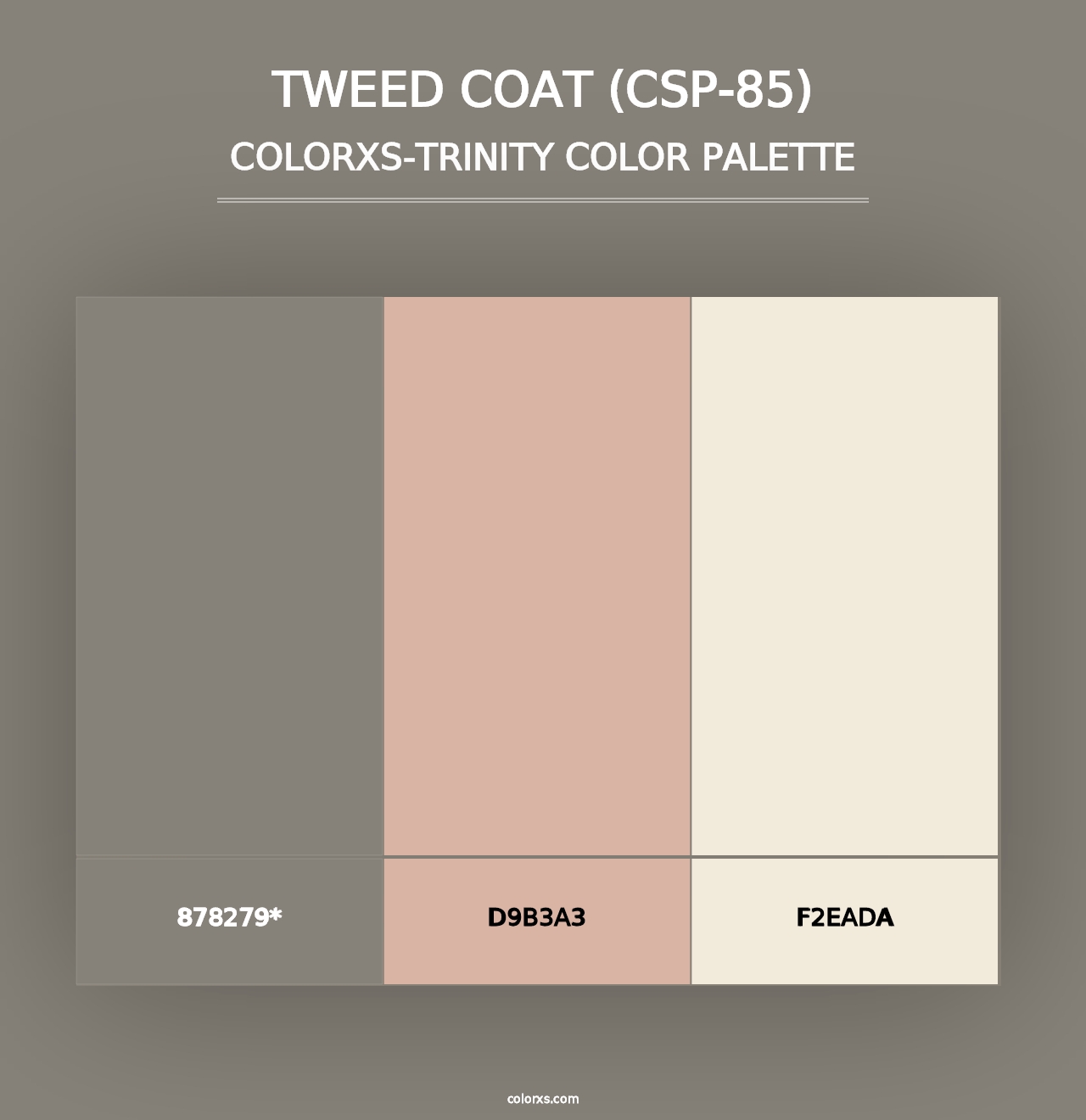 Tweed Coat (CSP-85) - Colorxs Trinity Palette