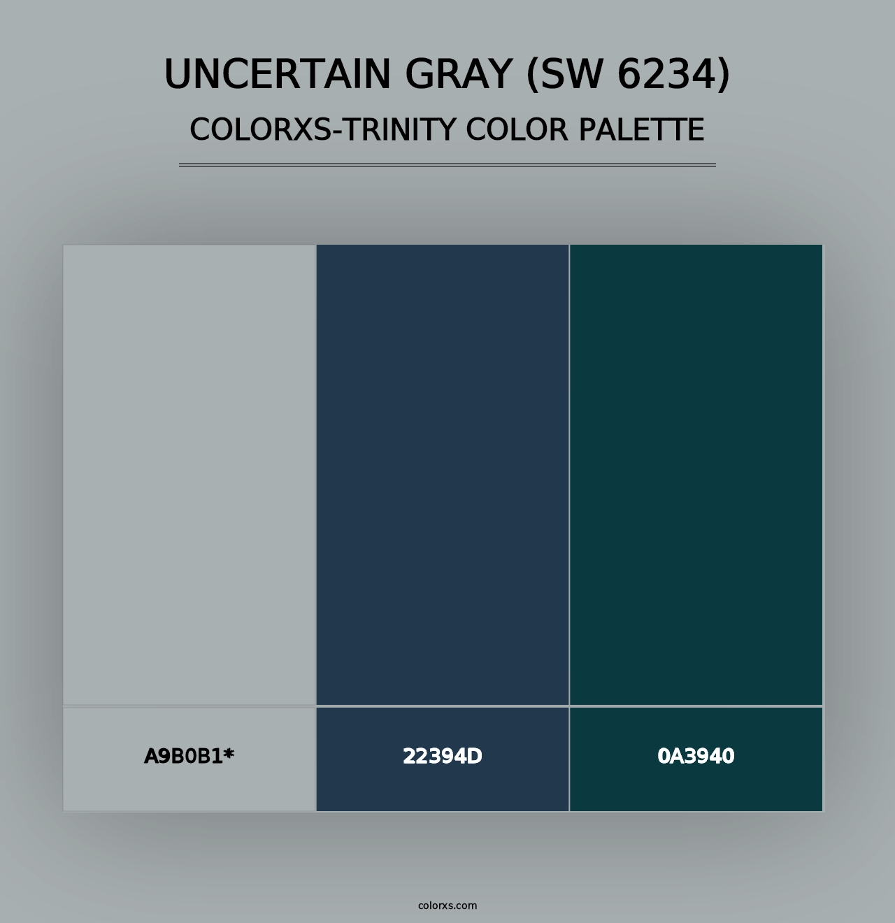 Uncertain Gray (SW 6234) - Colorxs Trinity Palette