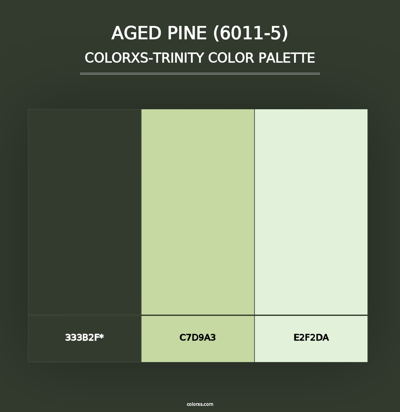 Aged Pine (6011-5) - Colorxs Trinity Palette