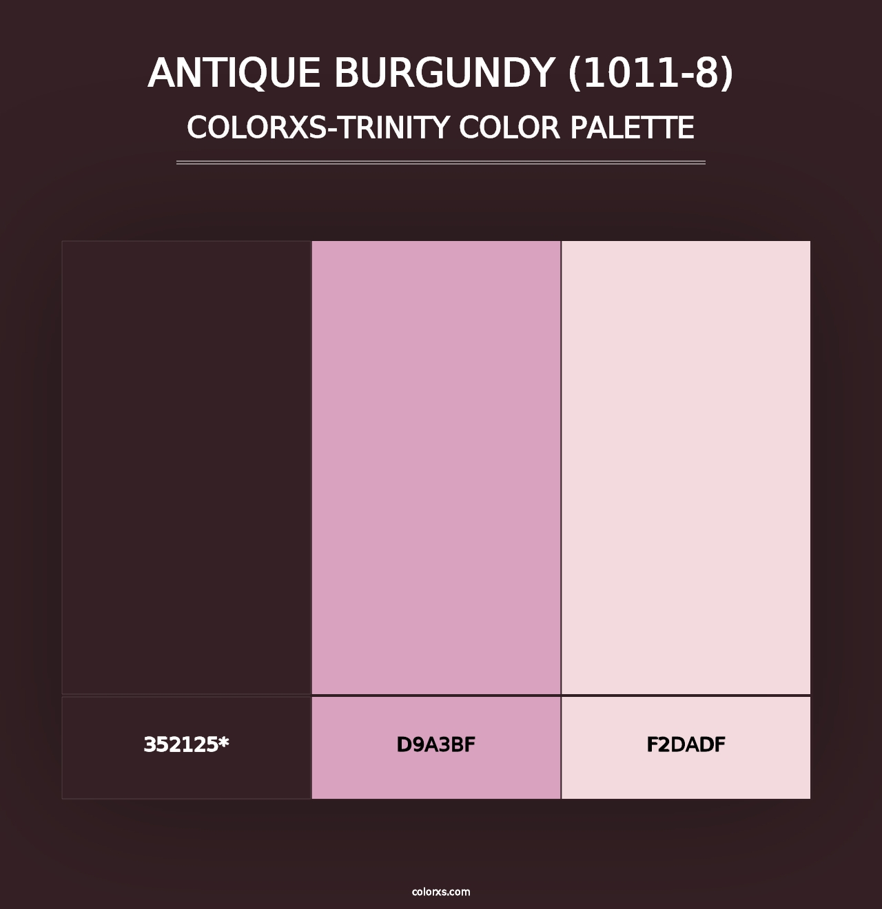 Antique Burgundy (1011-8) - Colorxs Trinity Palette