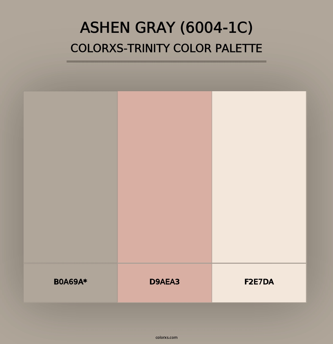 Ashen Gray (6004-1C) - Colorxs Trinity Palette