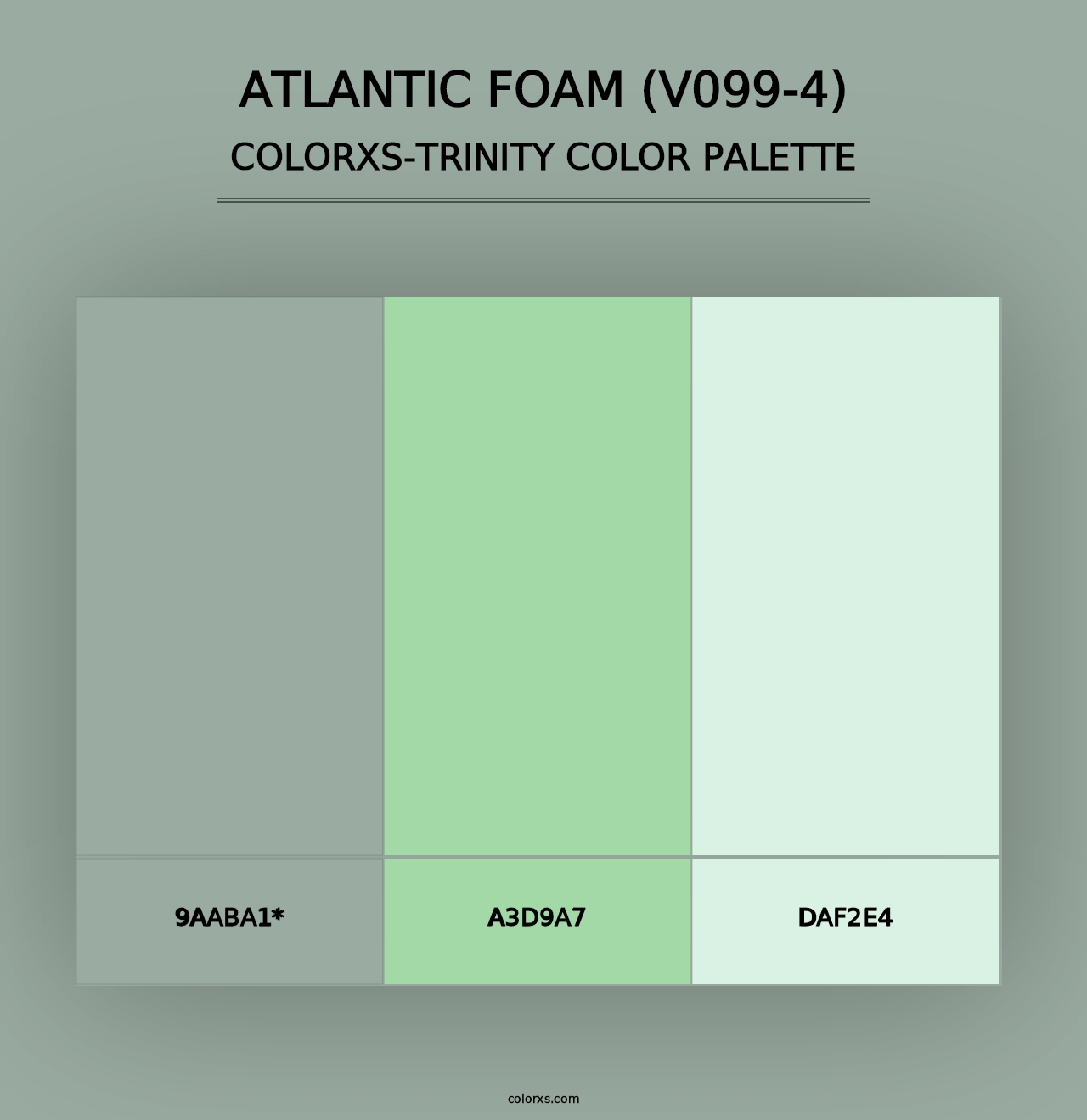 Atlantic Foam (V099-4) - Colorxs Trinity Palette