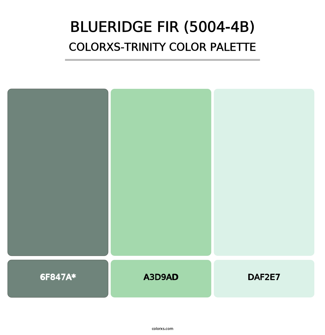 Blueridge Fir (5004-4B) - Colorxs Trinity Palette