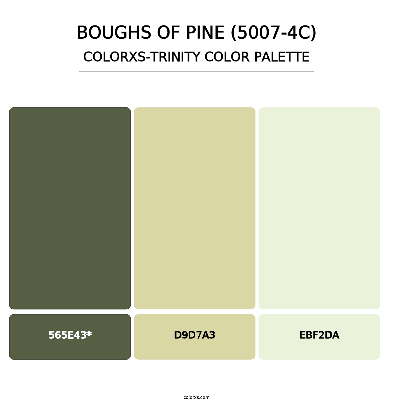 Boughs of Pine (5007-4C) - Colorxs Trinity Palette