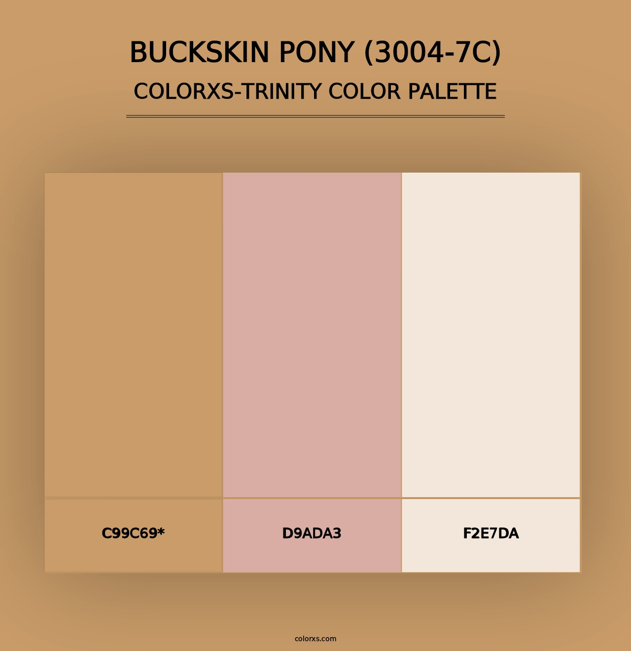 Buckskin Pony (3004-7C) - Colorxs Trinity Palette