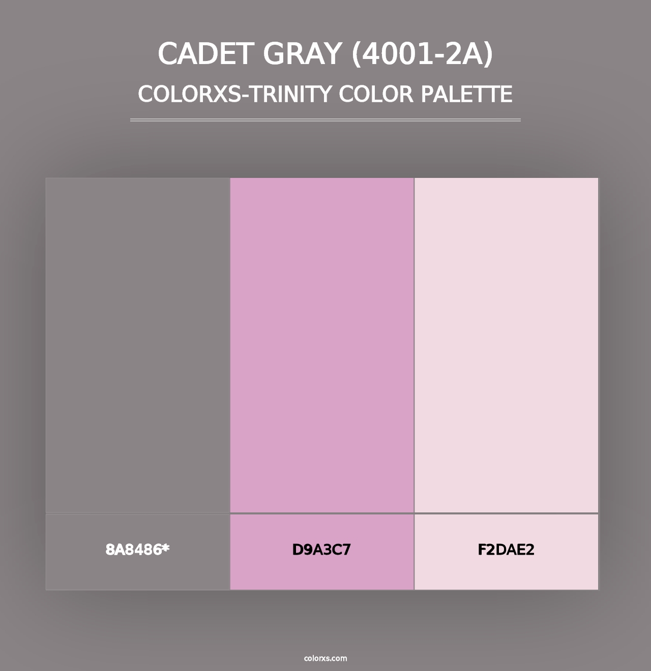 Cadet Gray (4001-2A) - Colorxs Trinity Palette