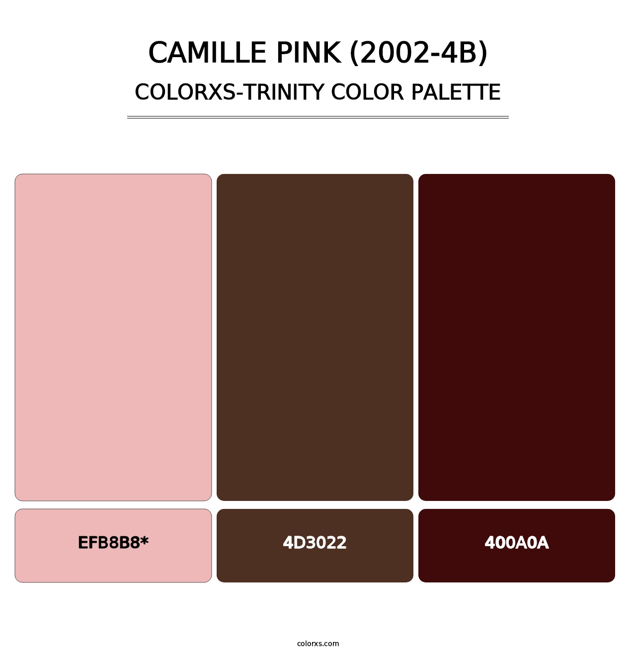 Camille Pink (2002-4B) - Colorxs Trinity Palette