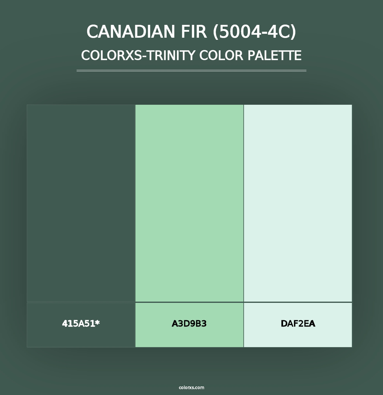 Canadian Fir (5004-4C) - Colorxs Trinity Palette