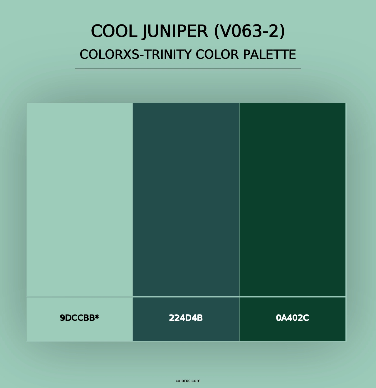 Cool Juniper (V063-2) - Colorxs Trinity Palette