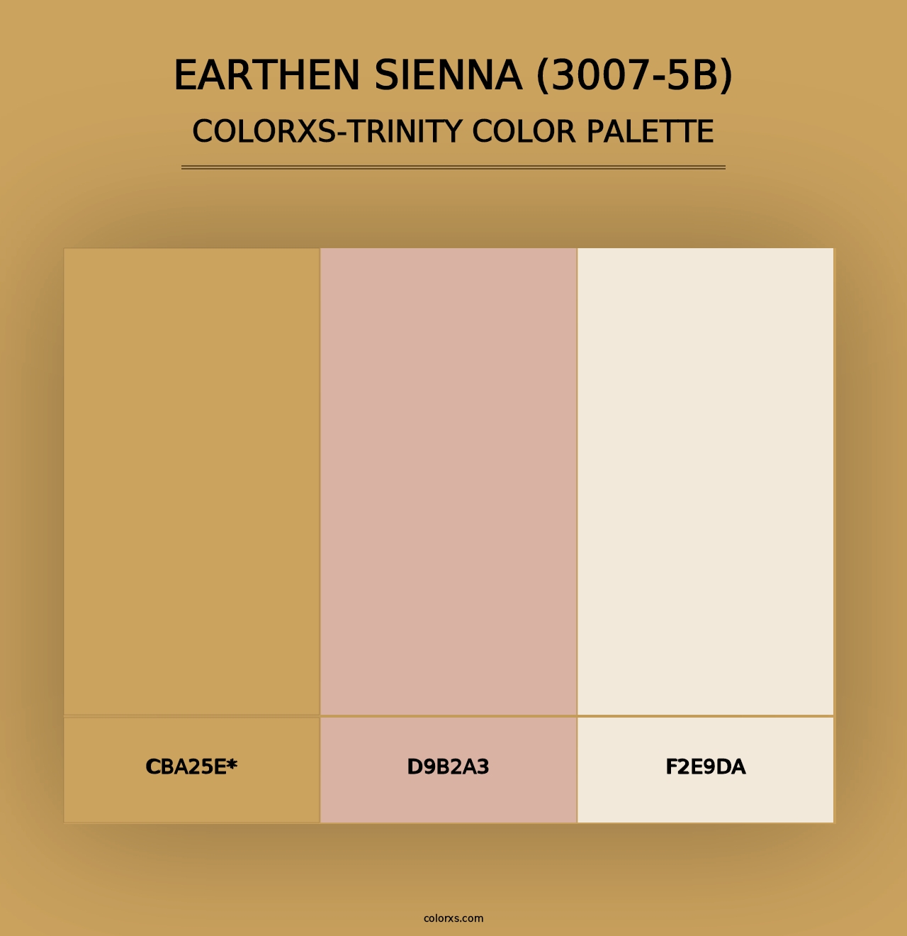 Earthen Sienna (3007-5B) - Colorxs Trinity Palette