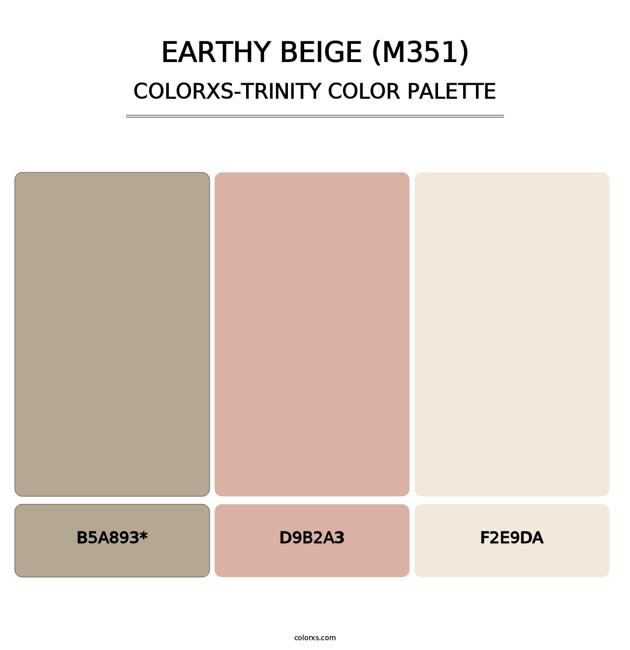 Earthy Beige (M351) - Colorxs Trinity Palette