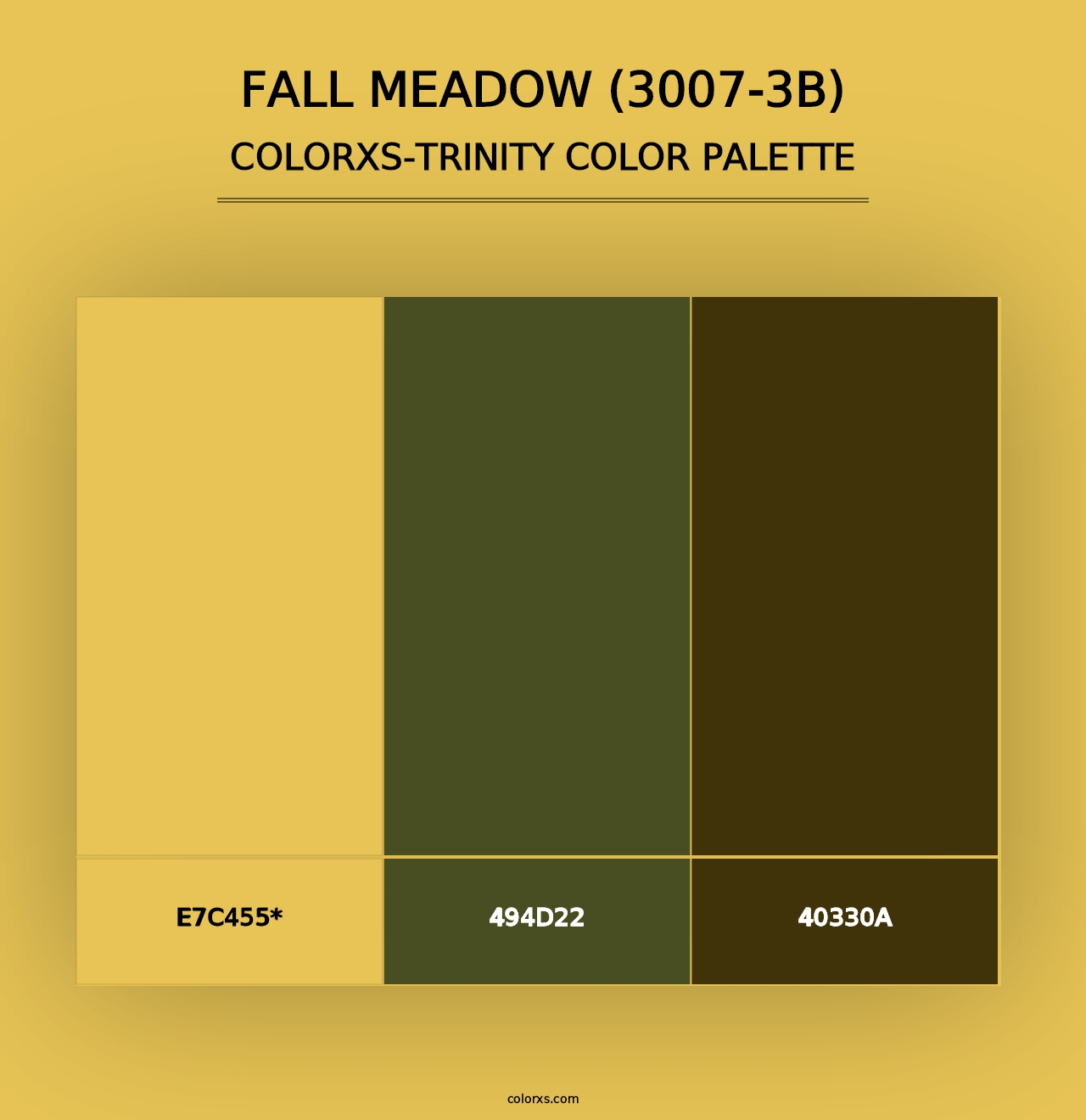 Fall Meadow (3007-3B) - Colorxs Trinity Palette