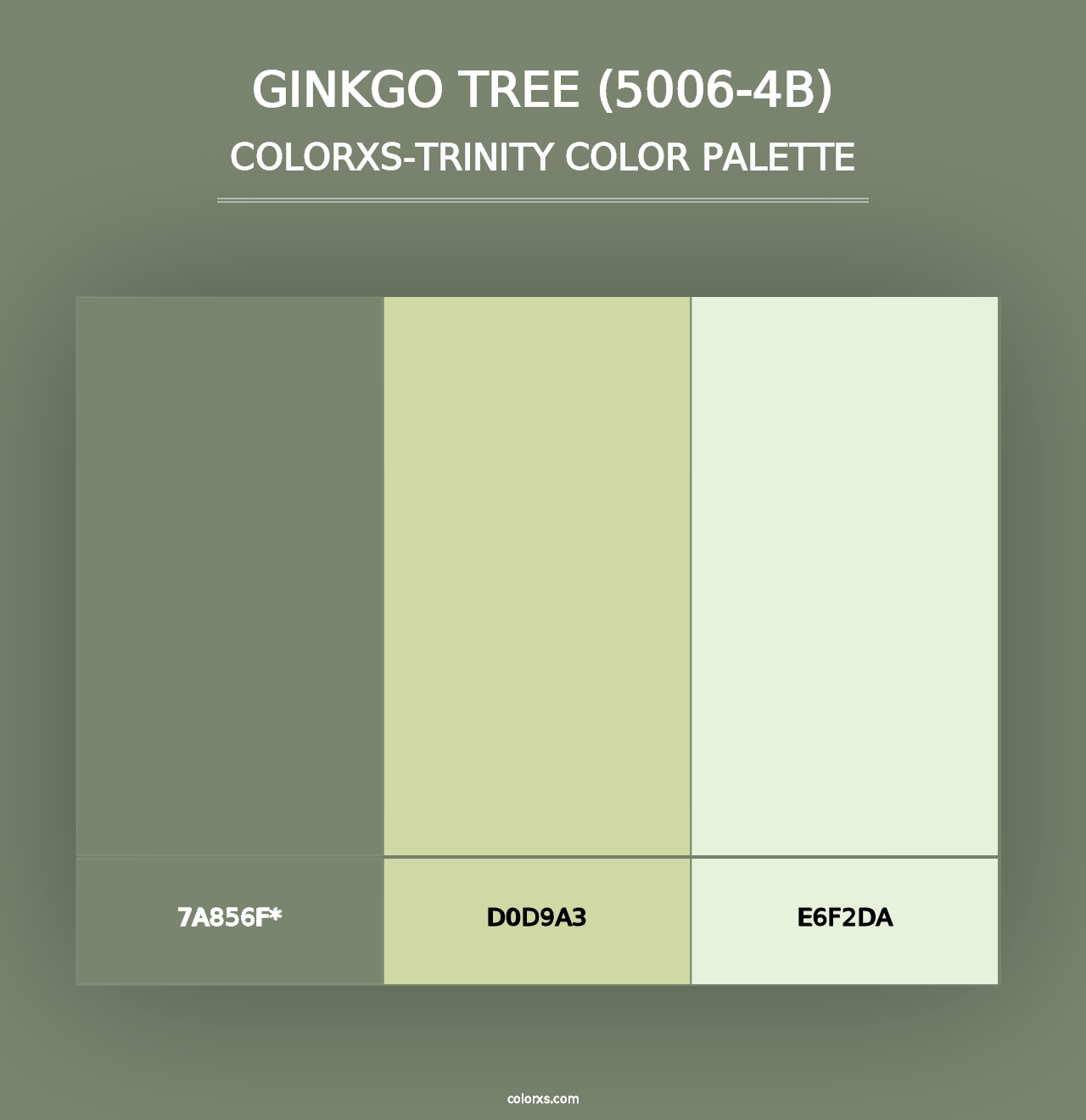 Ginkgo Tree (5006-4B) - Colorxs Trinity Palette