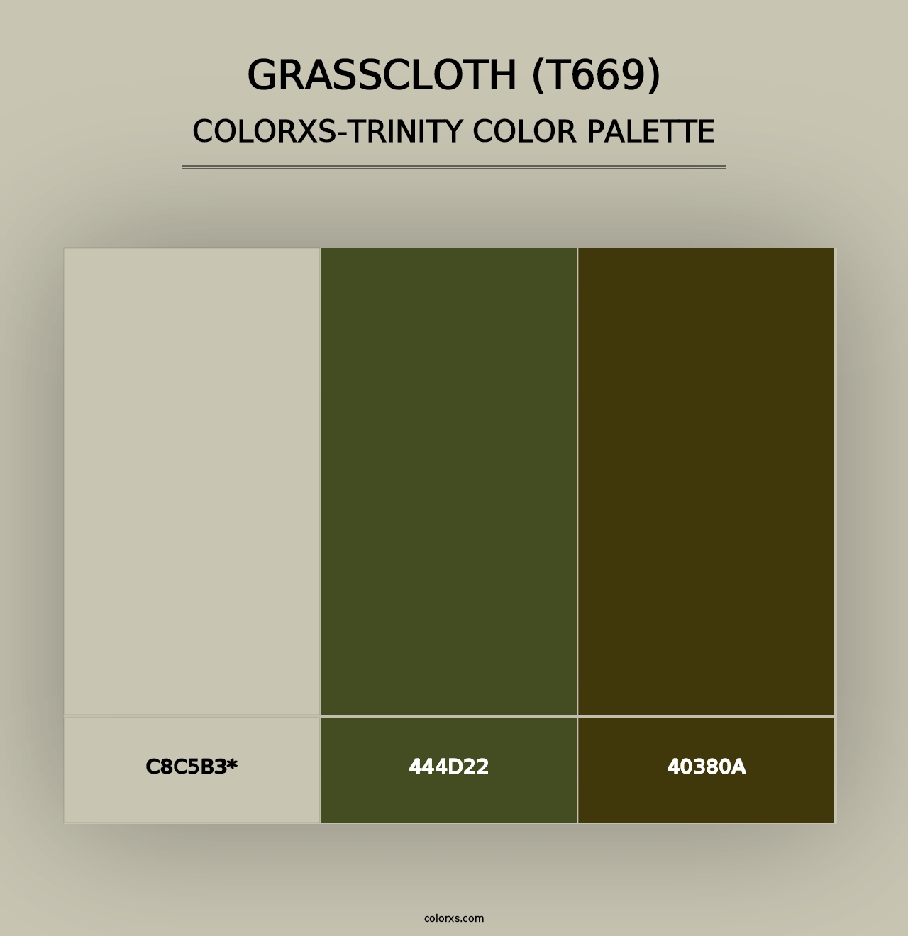 Grasscloth (T669) - Colorxs Trinity Palette