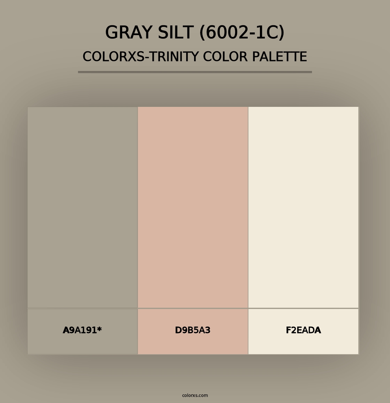 Gray Silt (6002-1C) - Colorxs Trinity Palette